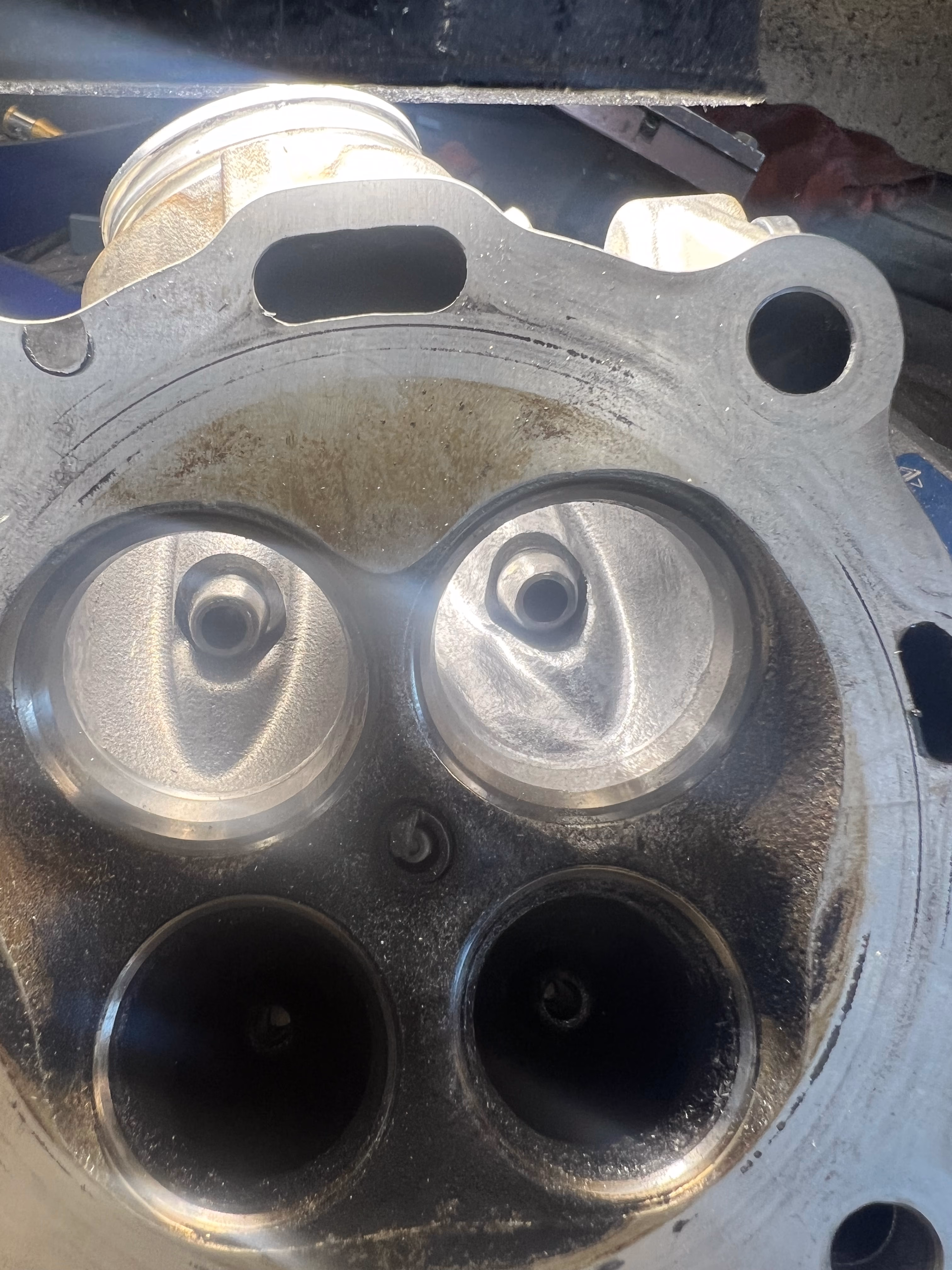 Gallery image 5 in snow 2024-09-02