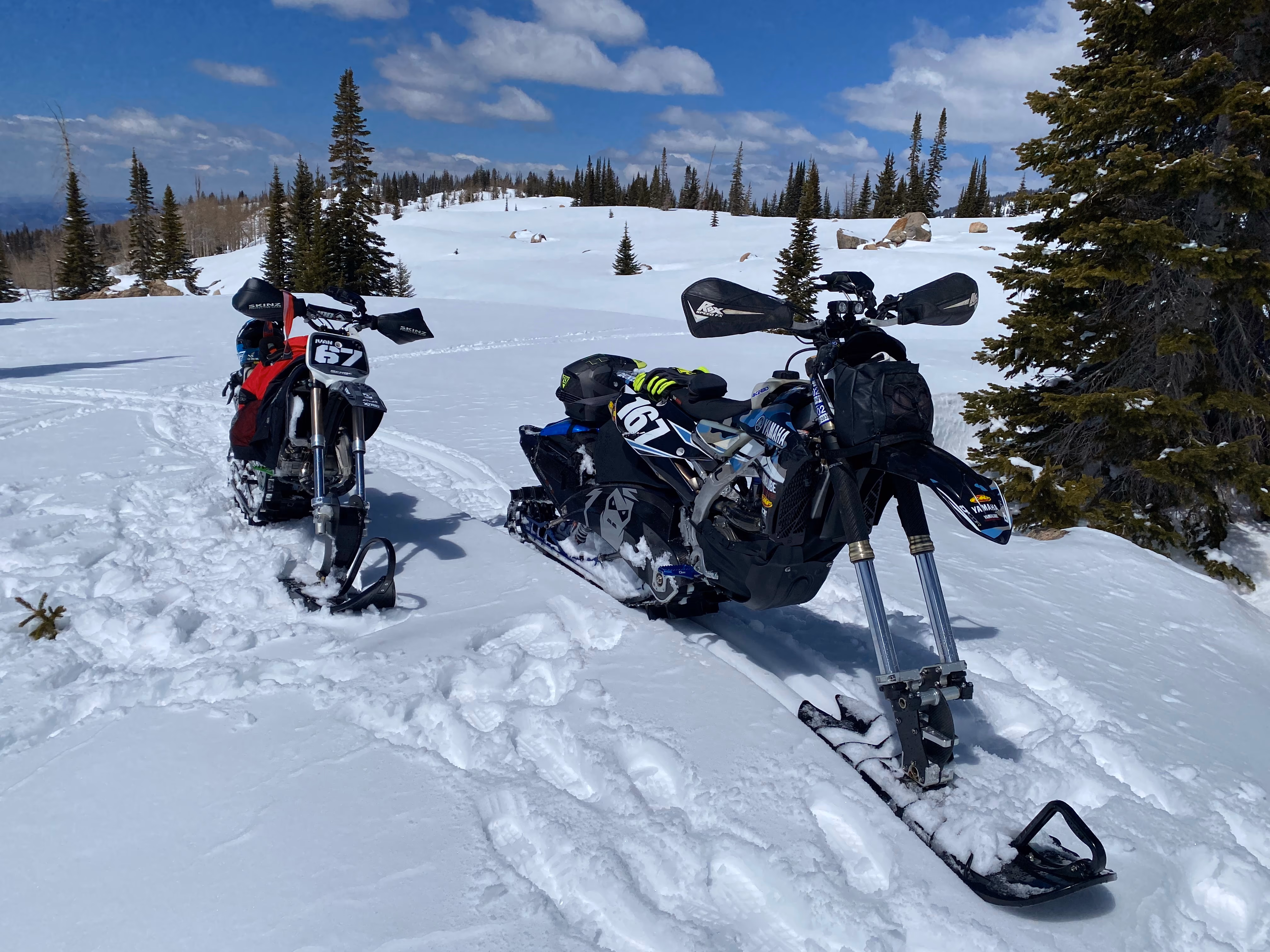 Gallery image 4 in snow 2025-01-01