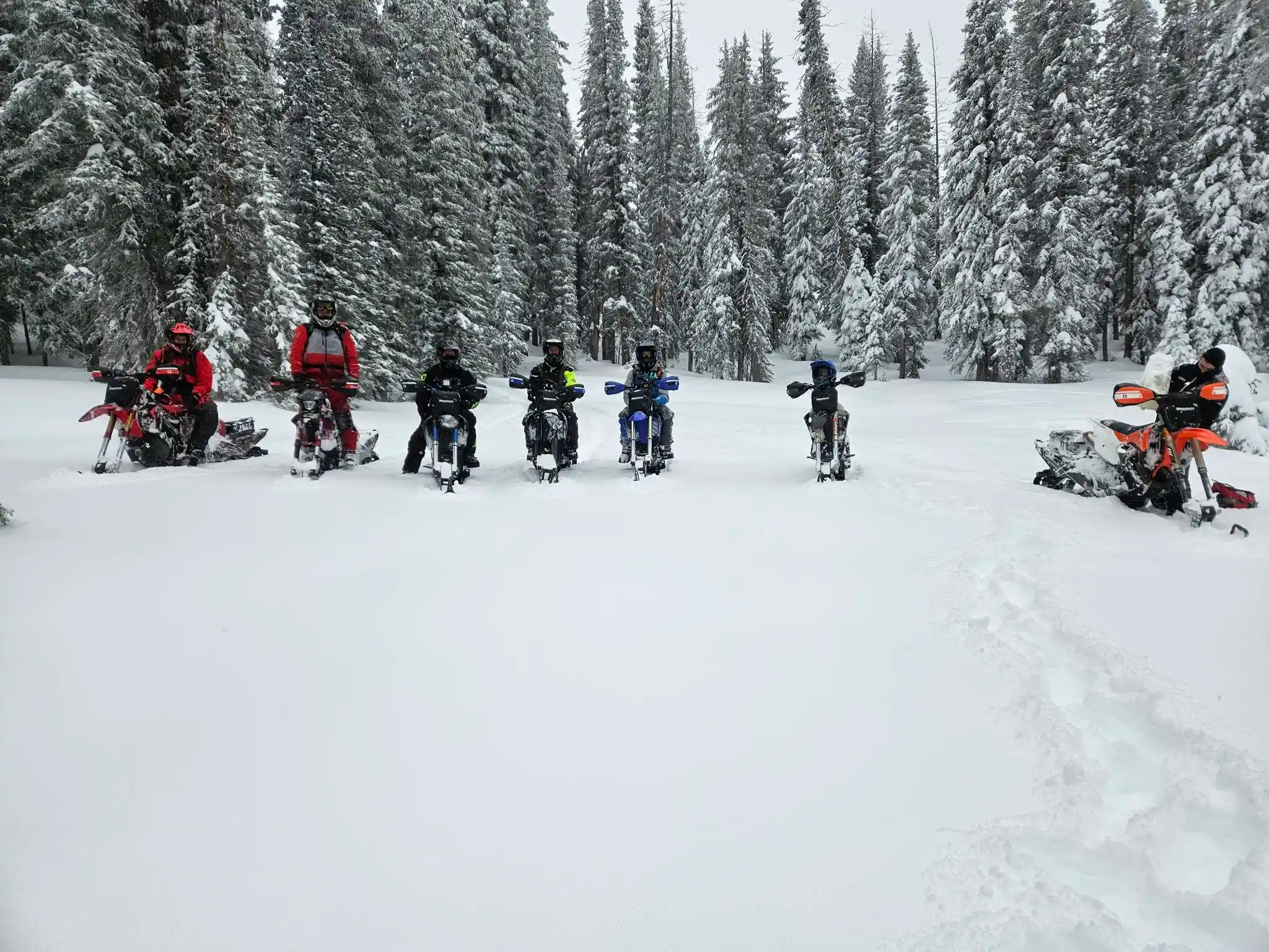 Racers and Recreational Riders alike