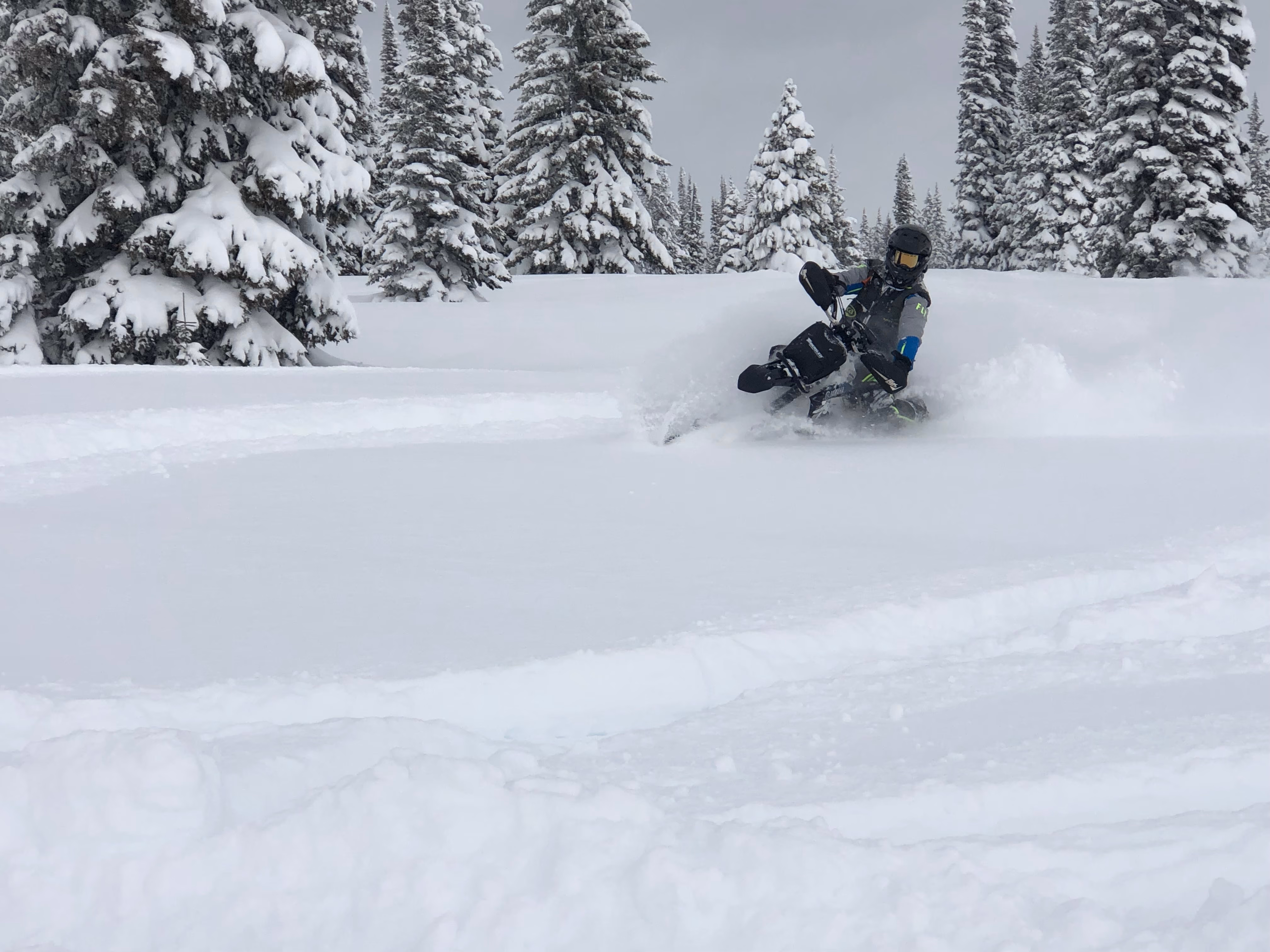 Gallery image 3 in snow 2025-01-01